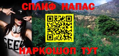крисы Новокубанск