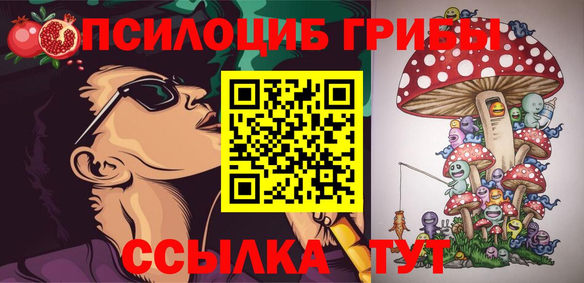Туймазы  Псилоцибиновые грибы мицелий  Вход с VPN 
